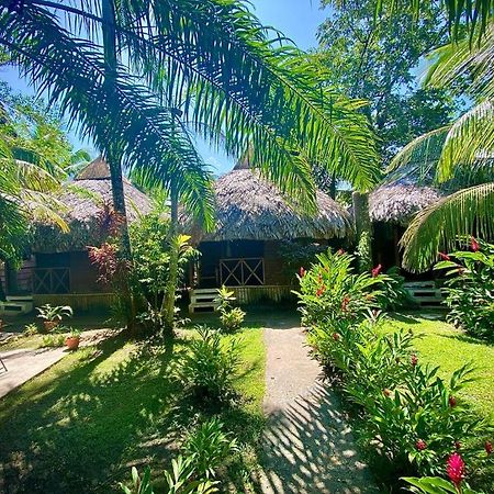Auberge de jeunesse Casa De La Iguana à Lívingston Extérieur photo