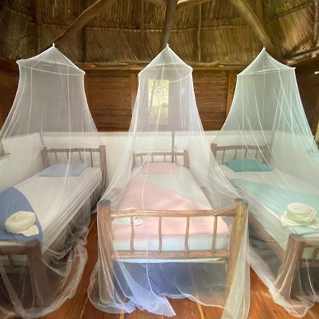 Auberge de jeunesse Casa De La Iguana à Lívingston Extérieur photo