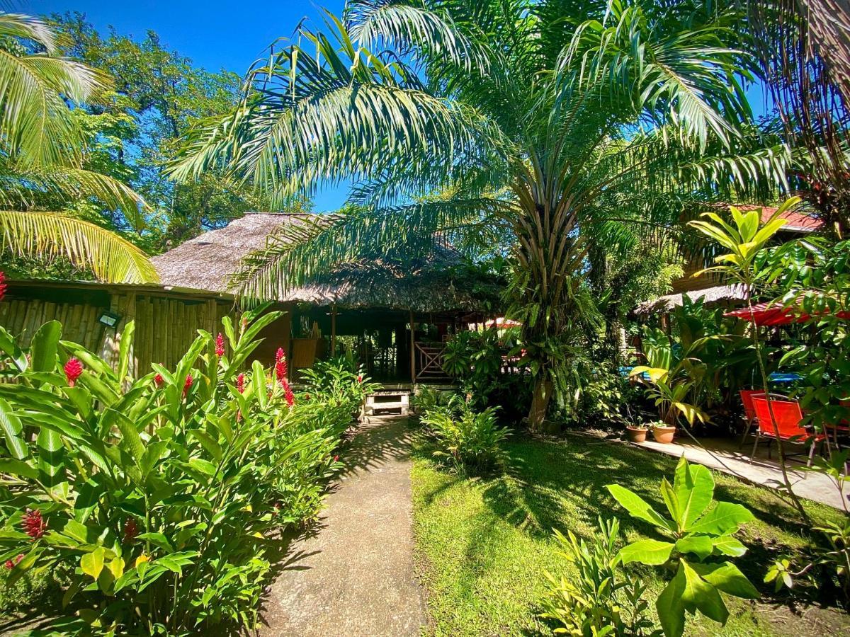 Auberge de jeunesse Casa De La Iguana à Lívingston Extérieur photo