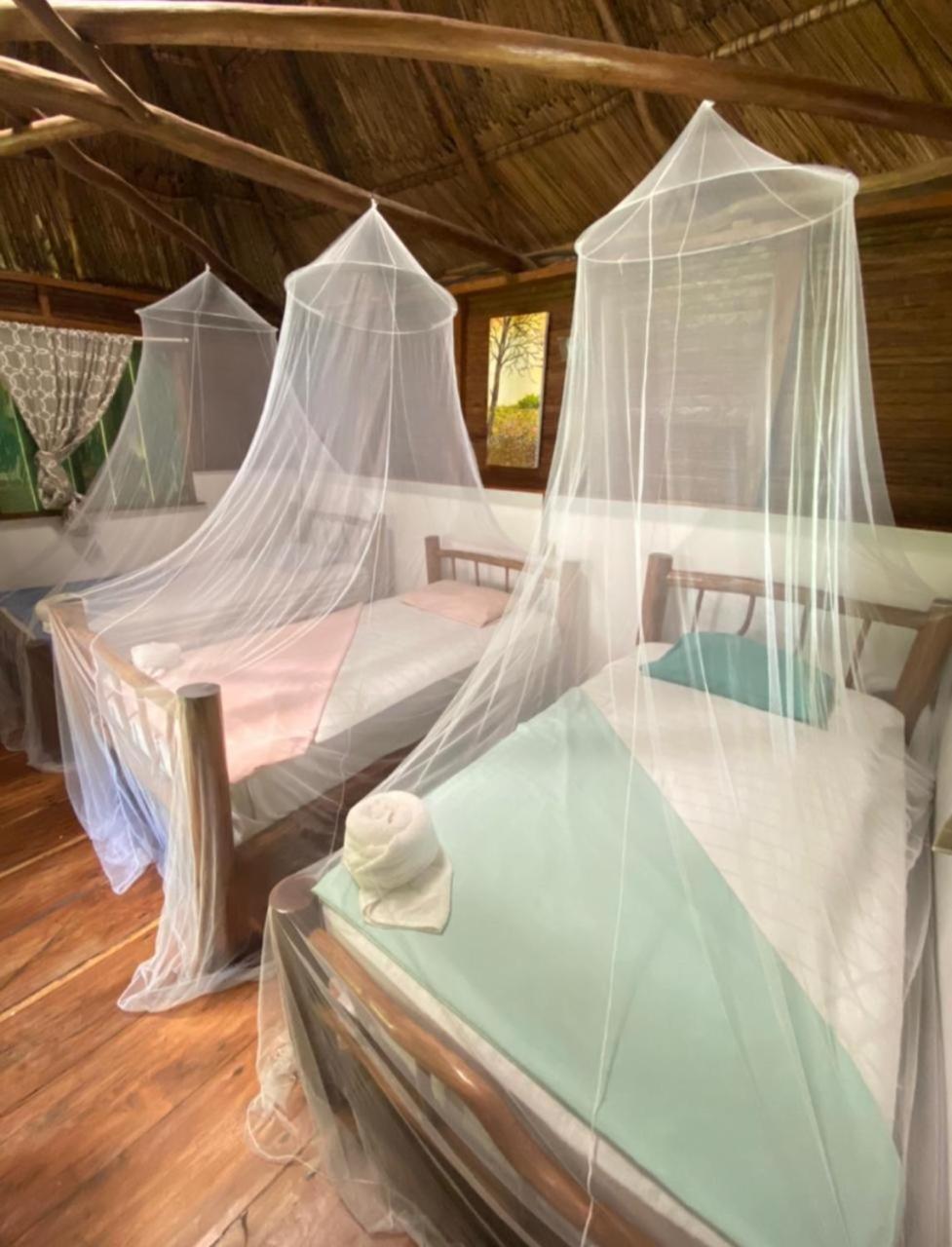 Auberge de jeunesse Casa De La Iguana à Lívingston Extérieur photo