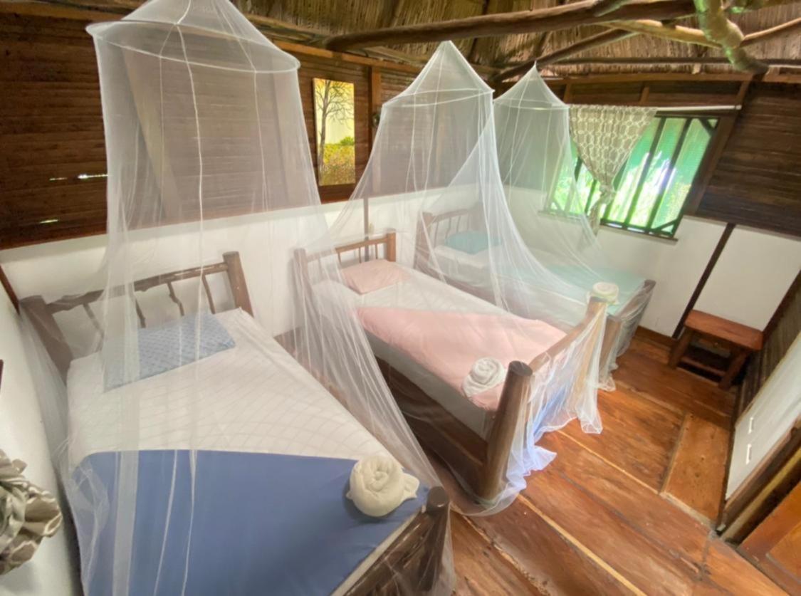 Auberge de jeunesse Casa De La Iguana à Lívingston Extérieur photo