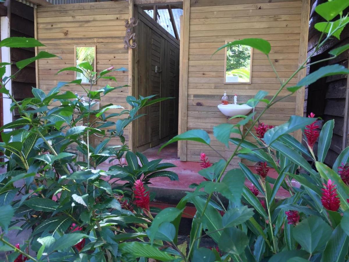 Auberge de jeunesse Casa De La Iguana à Lívingston Extérieur photo